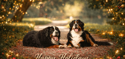 Naj bo srečno in zdravo 2025!